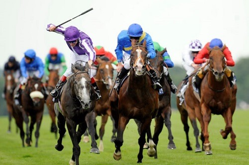 Racing Australia Attacks Horse Racing Betting Sites
